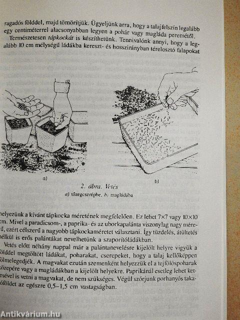 Paradicsom, paprika, uborka a kertben