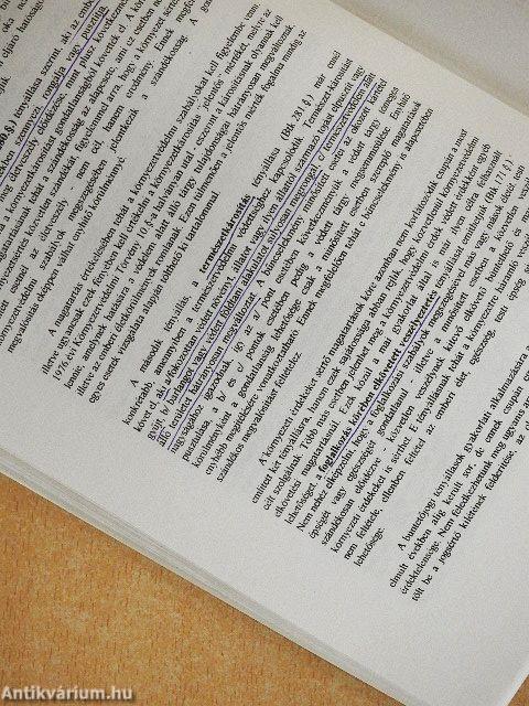 A környezet védelmének joga