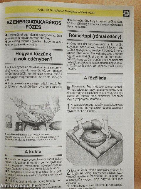 Nagy háztartáskönyv