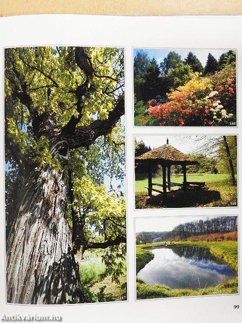 Egerszegi örökség