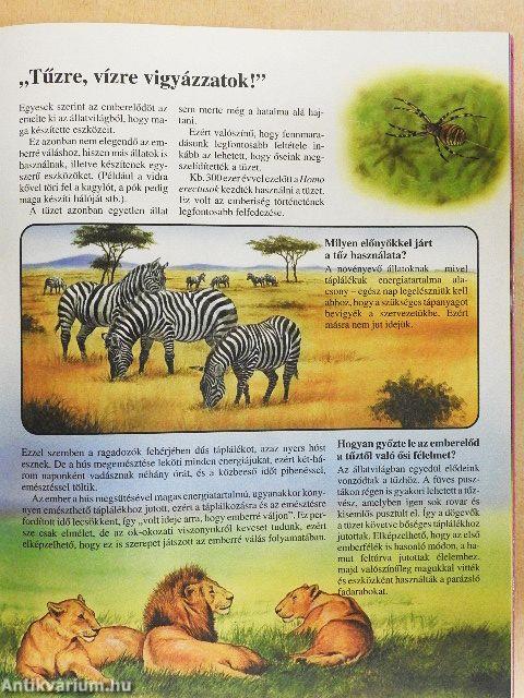 Az őskori ember története gyermekeknek