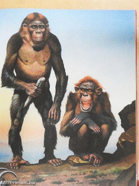 Az őskori ember története gyermekeknek