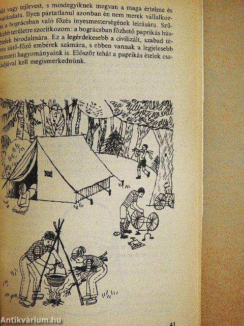 Néprajzi ínyesmesterség