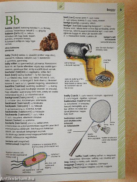 Angol-magyar képes szótár