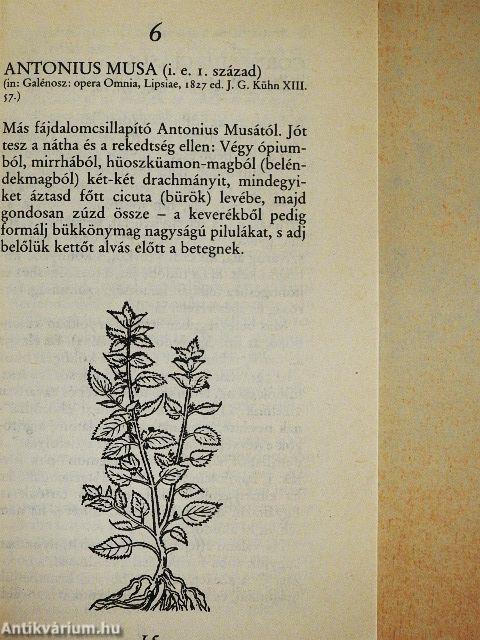 "Gyógyszer" nélkül a nátha ellen