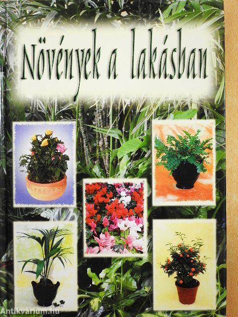 Növények a lakásban