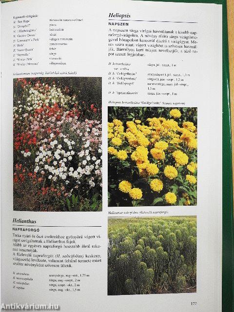 Kerti növények enciklopédiája