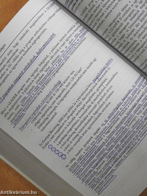 Európai Uniós Pályázatok Kézikönyve