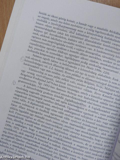 A kétnyelvűség alapkérdései