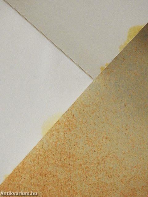 A jógi és a komisszár