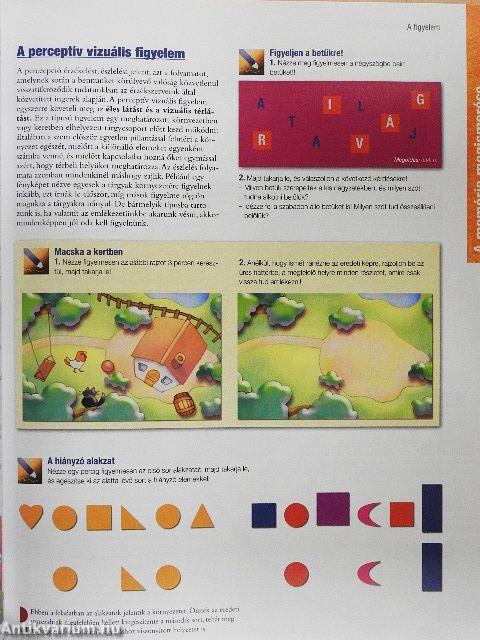 101 memóriafejlesztő módszer