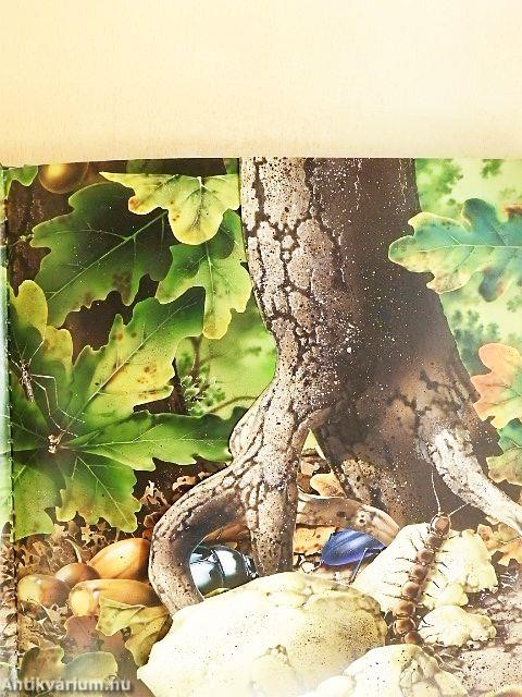 A talaj élővilága