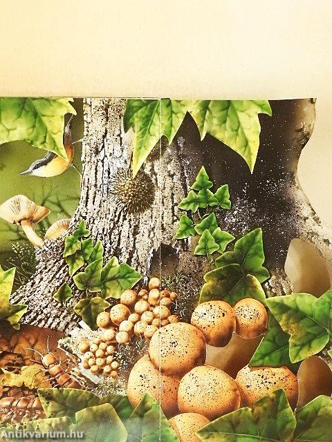 A talaj élővilága