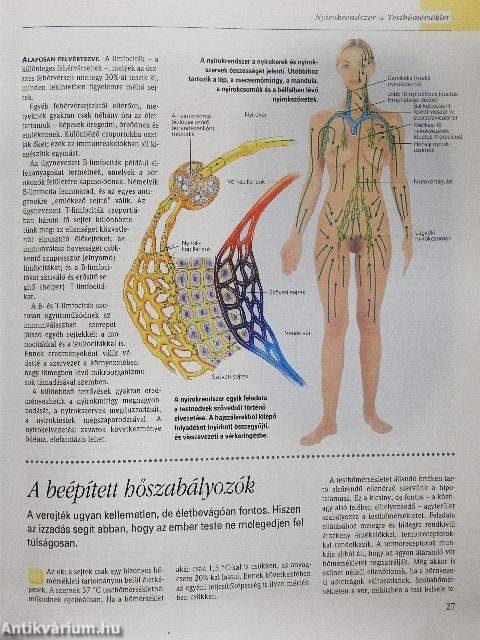 A csodálatos emberi test