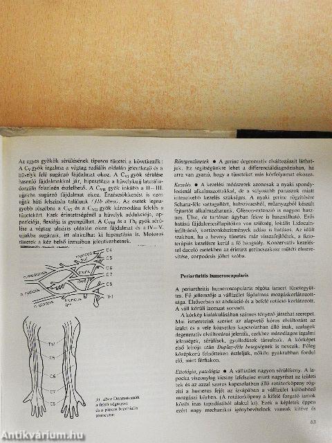 Az ortopédia tankönyve