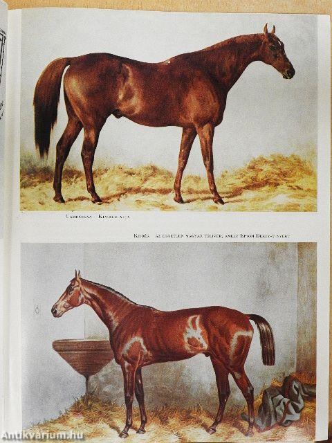 A verhetetlen Kincsem