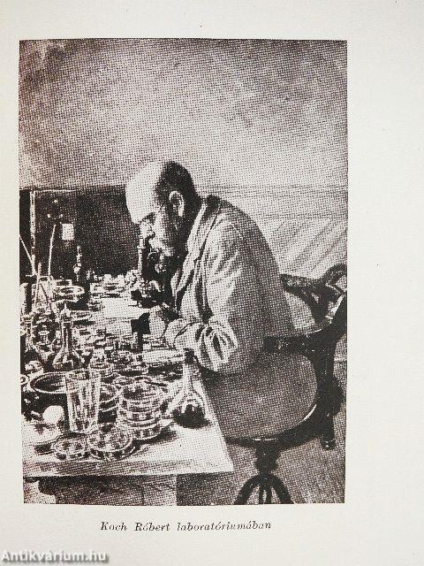 Bacillusvadászok I-II.