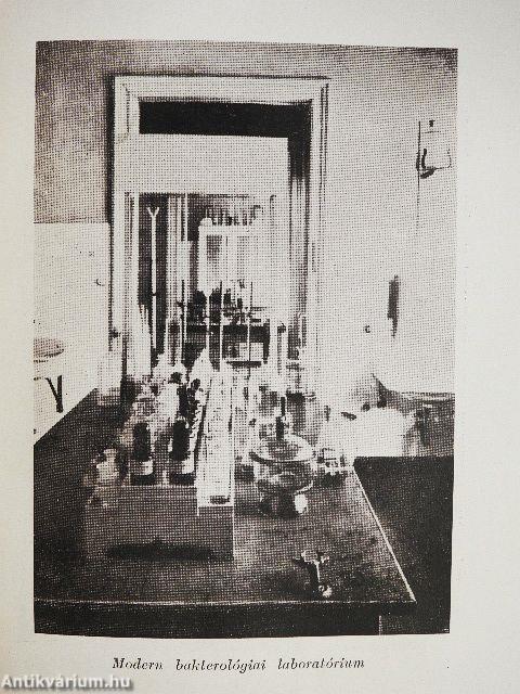 Bacillusvadászok I-II.