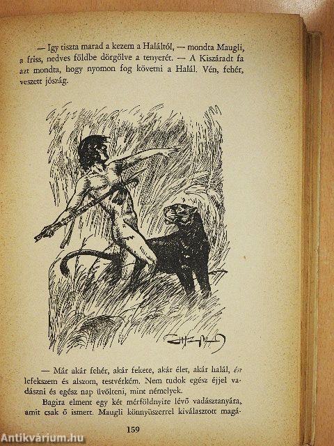 A dzsungel könyve és az új dzsungel-könyv