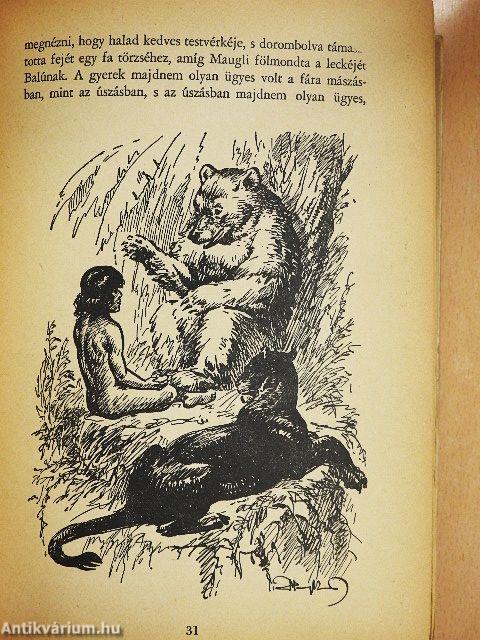 A dzsungel könyve és az új dzsungel-könyv