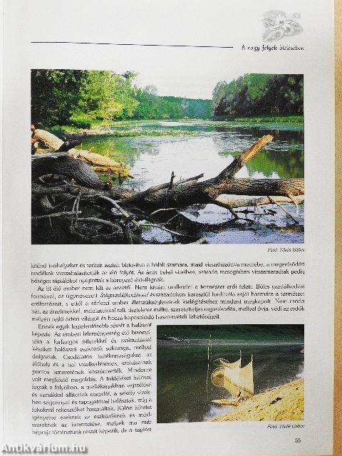 Millenniumi Vadászati Almanach - Bács-Kiskun megye 2001