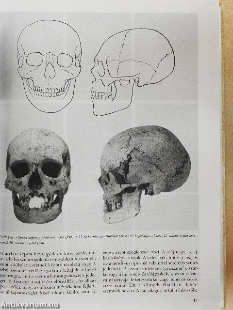 A magyarság embertana