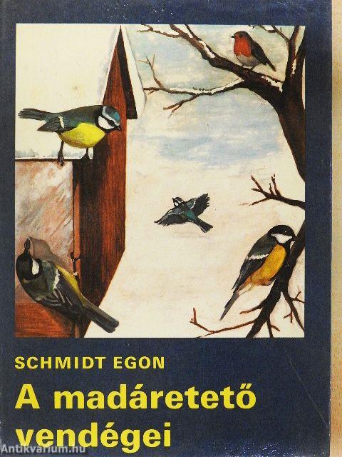 A madáretető vendégei