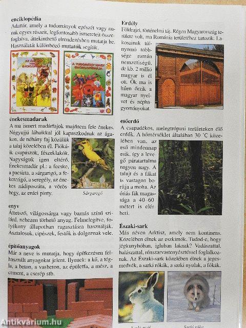 Szókincstár kislexikon