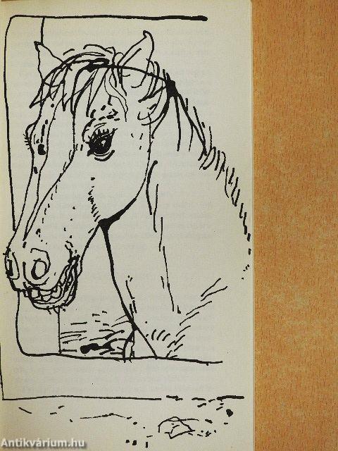 Mindenféle állatokról