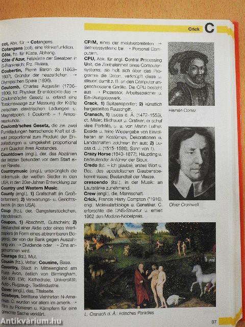 Grosses farbiges Schülerlexikon