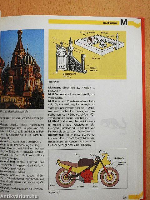 Grosses farbiges Schülerlexikon