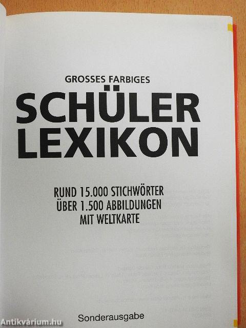 Grosses farbiges Schülerlexikon