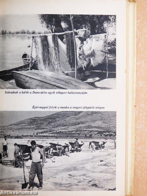 Hálóval a tengeren