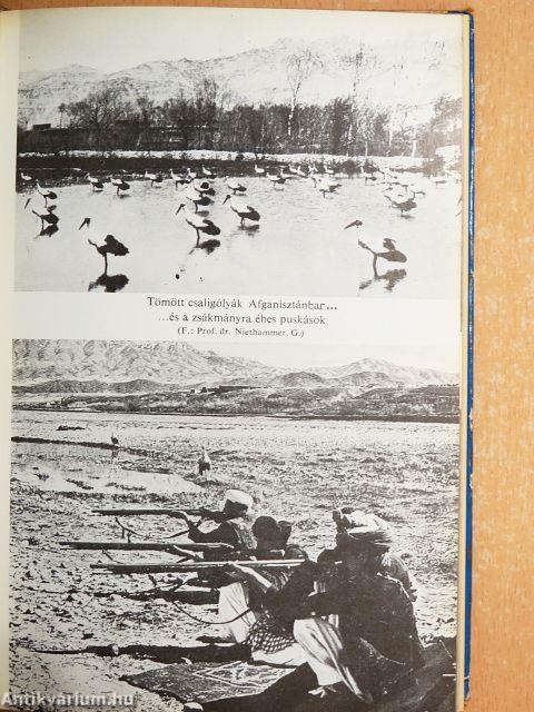 Hová mennek, honnan jönnek vándormadaraink?