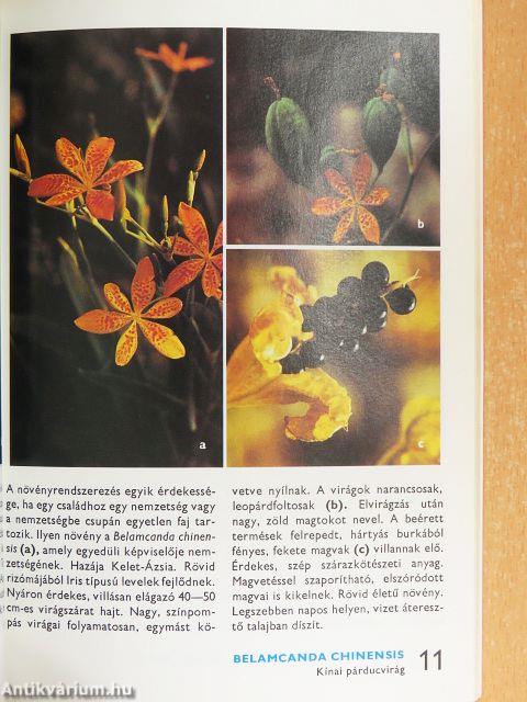 A sziklakerti növényekről