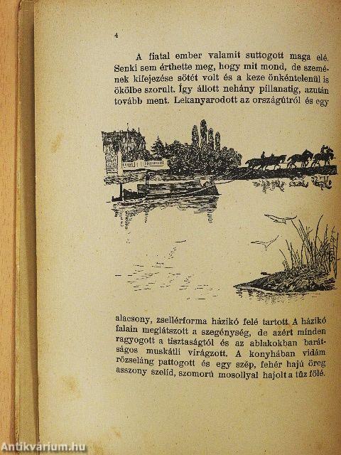 Egy magyar fiú Napoleon seregében/Laci Törökországban