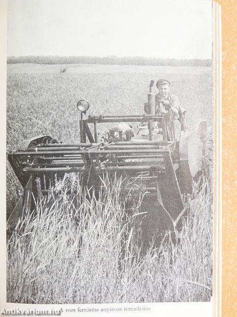 Gyógyító növények