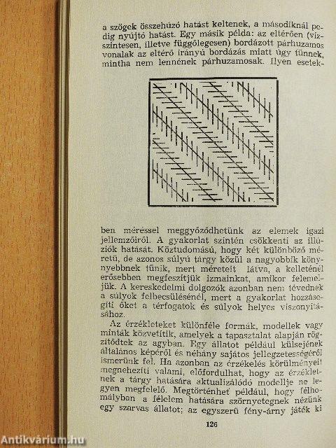 Az ateizmusról fiataloknak