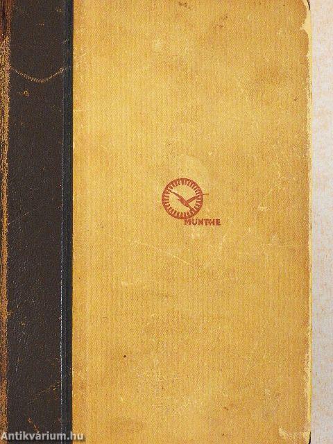 San Michele regénye