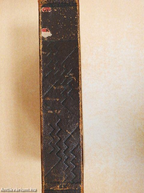 San Michele regénye