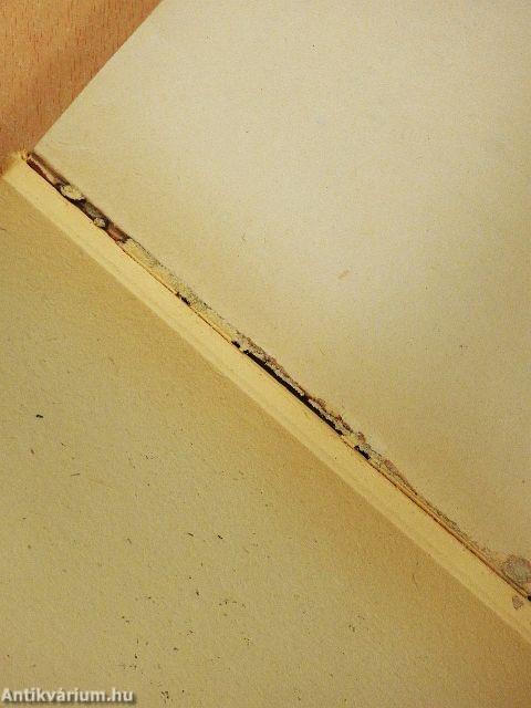 A Vatikán a haladás ellen