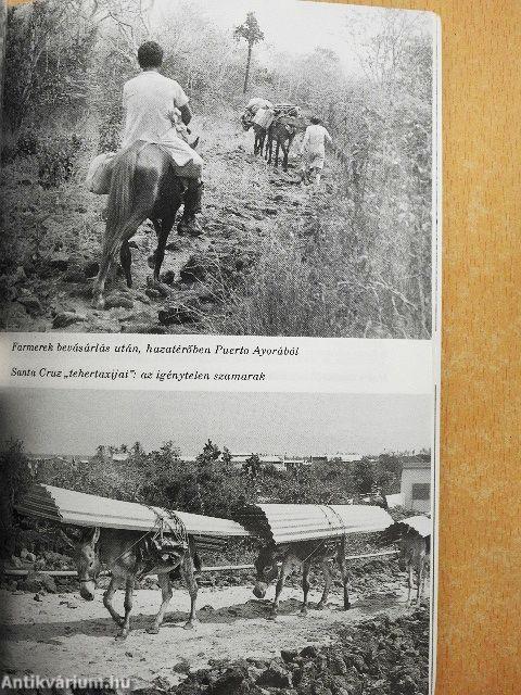 Galápagos, az elefántlábúak szigetei