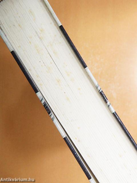 Nagy háztartáskönyv