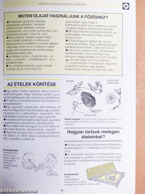 Nagy háztartáskönyv