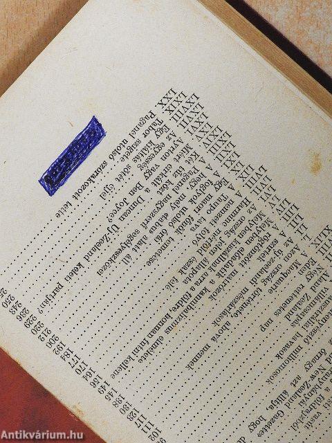 Grant kapitány gyermekei I-II.