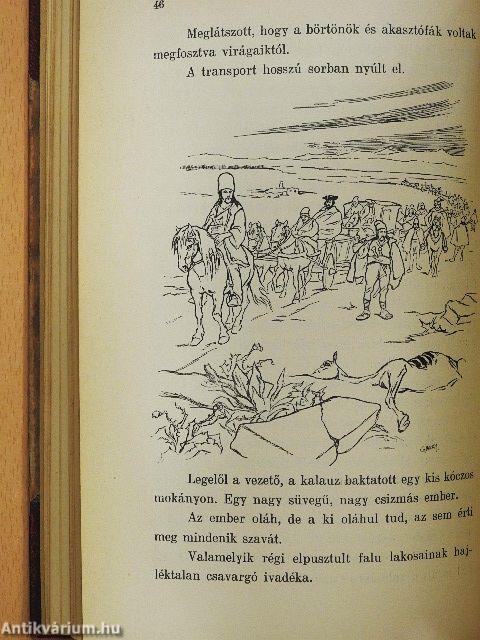 Az utolsó kuruczvilág I-II.