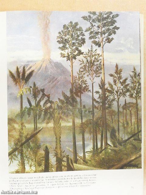 Élet az ember előtt