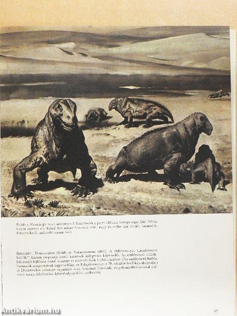 Élet az ember előtt