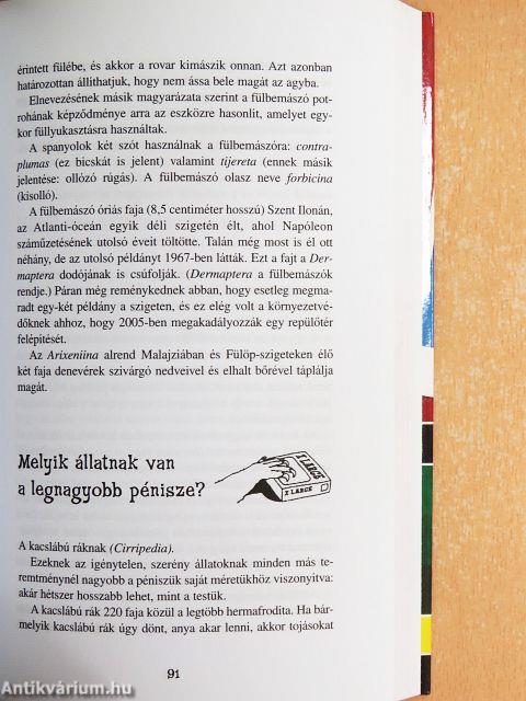 Tévhitek a nagyvilágról