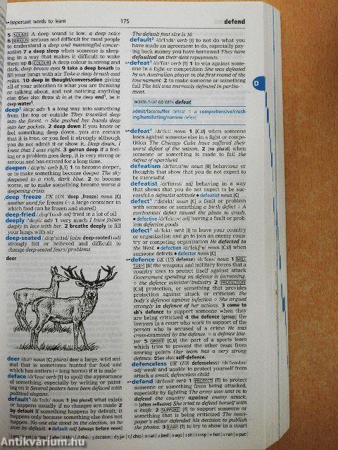 Cambridge Learner's Dictionary - CD-vel